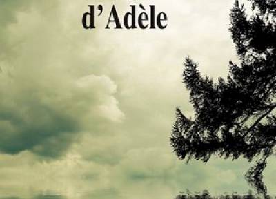 La médiation d'Adèle, le nouveau livre de Claire Bonnelle